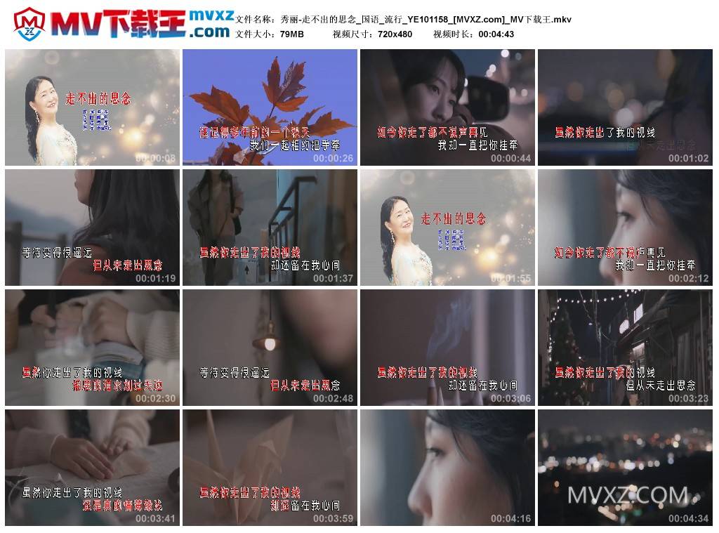 秀丽-走不出的思念_国语_流行_YE101158